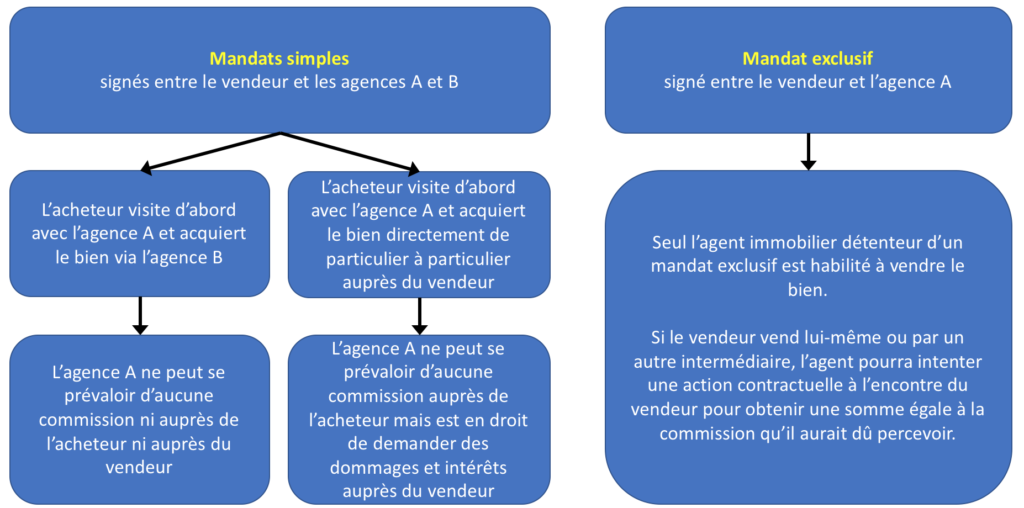 arbre de décision - bon de visite immobilier